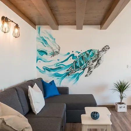 Skipper Novigrad Istria