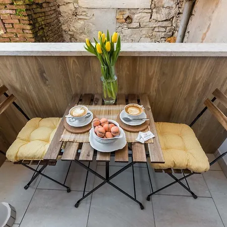 Skipper Novigrad Istria