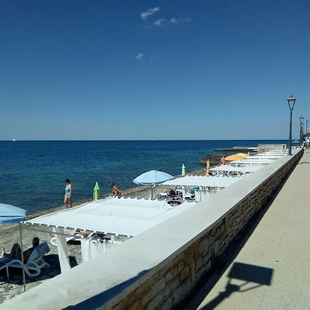 Skipper * Novigrad (Istria)