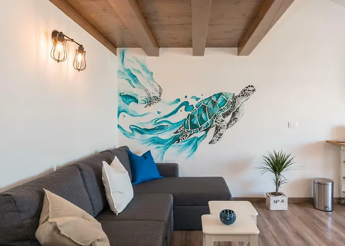 Skipper Novigrad Istria