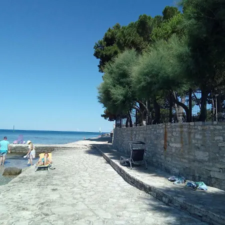 Skipper Novigrad Istria